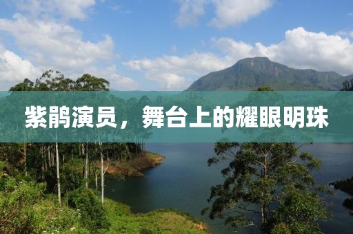 紫鹃演员，舞台上的耀眼明珠