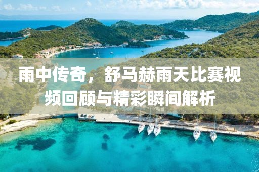 雨中传奇，舒马赫雨天比赛视频回顾与精彩瞬间解析