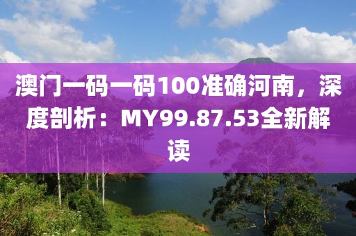 澳门一码一码100准确河南，深度剖析：MY99.87.53全新解读