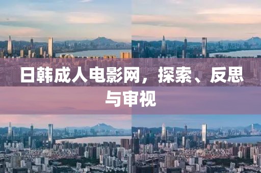 日韩成人电影网，探索、反思与审视