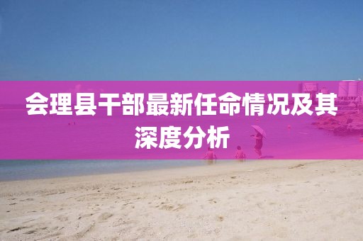 会理县干部最新任命情况及其深度分析