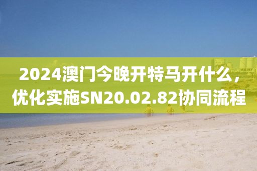 2024澳门今晚开特马开什么，优化实施SN20.02.82协同流程