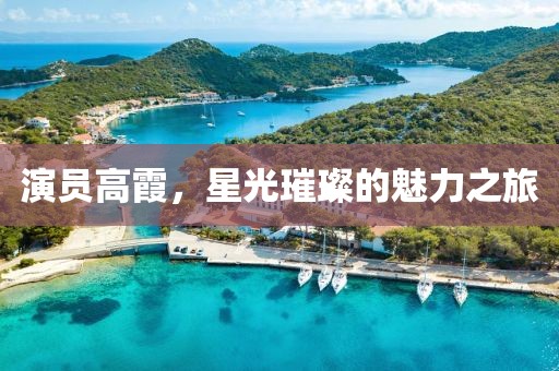 演员高霞，星光璀璨的魅力之旅