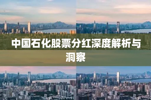 中国石化股票分红深度解析与洞察