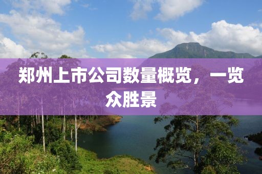 郑州上市公司数量概览，一览众胜景