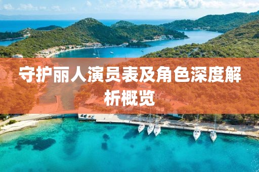 守护丽人演员表及角色深度解析概览