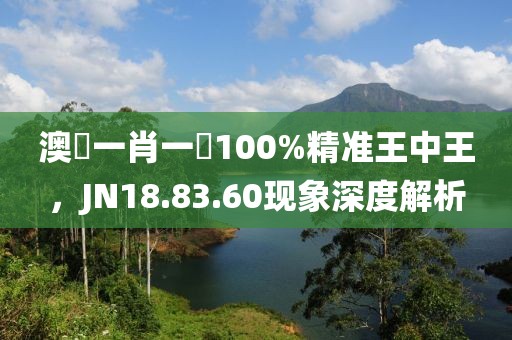 澳門一肖一碼100%精准王中王，JN18.83.60现象深度解析