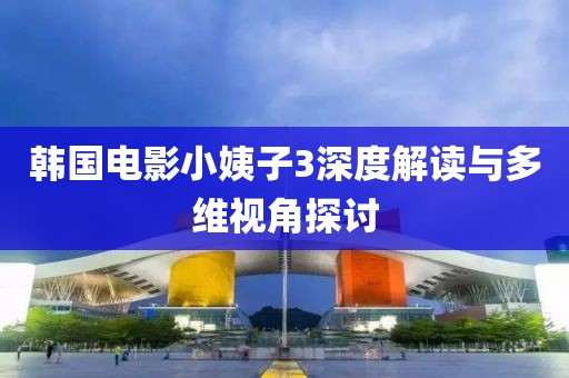 韩国电影小姨子3深度解读与多维视角探讨