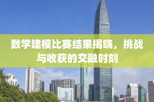 数学建模比赛结果揭晓，挑战与收获的交融时刻
