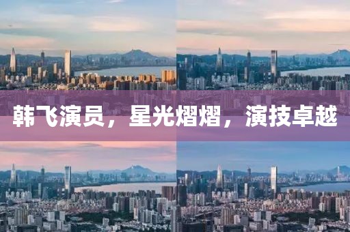 韩飞演员，星光熠熠，演技卓越