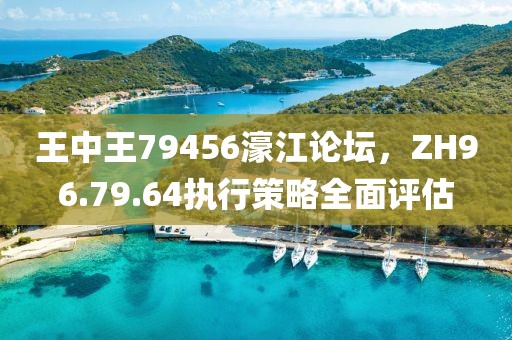 王中王79456濠江论坛，ZH96.79.64执行策略全面评估
