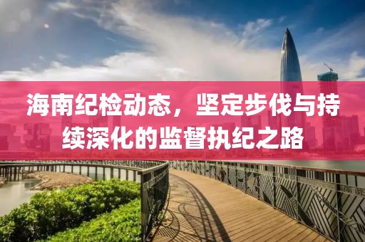 海南纪检动态，坚定步伐与持续深化的监督执纪之路