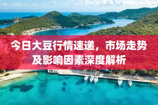 今日大豆行情速递，市场走势及影响因素深度解析