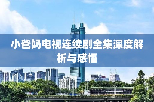 小爸妈电视连续剧全集深度解析与感悟