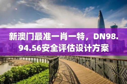 新澳门最准一肖一特，DN98.94.56安全评估设计方案