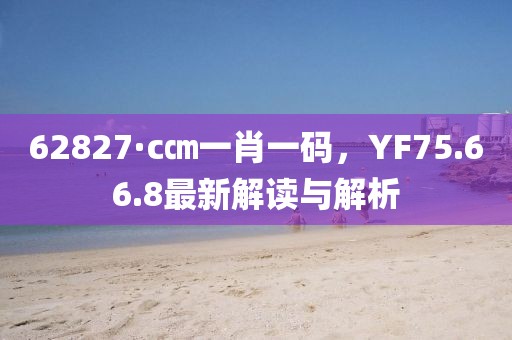 62827·c㎝一肖一码，YF75.66.8最新解读与解析