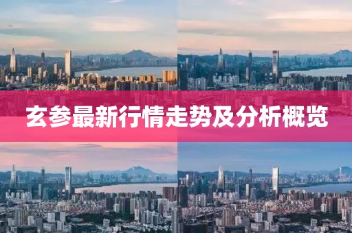 玄参最新行情走势及分析概览