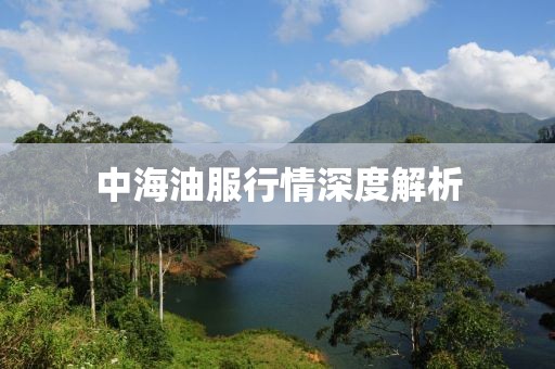 中海油服行情深度解析