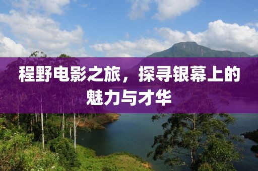 程野电影之旅，探寻银幕上的魅力与才华
