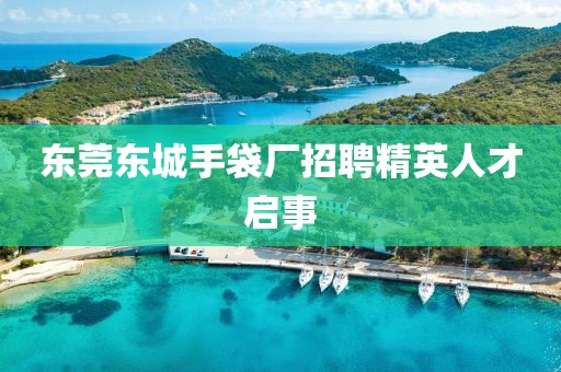 东莞东城手袋厂招聘精英人才启事