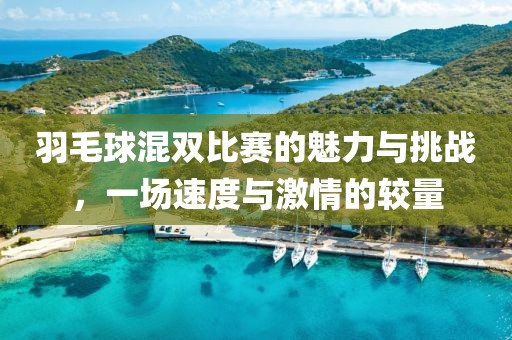 羽毛球混双比赛的魅力与挑战，一场速度与激情的较量