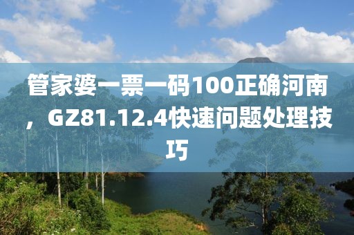 管家婆一票一码100正确河南，GZ81.12.4快速问题处理技巧