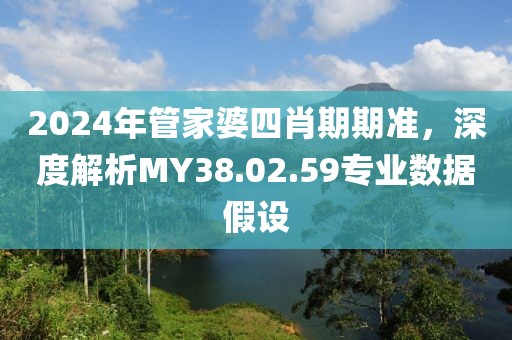 2024年管家婆四肖期期准，深度解析MY38.02.59专业数据假设