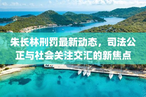朱长林刑罚最新动态，司法公正与社会关注交汇的新焦点