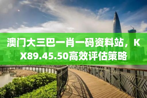 澳门大三巴一肖一码资料站，KX89.45.50高效评估策略