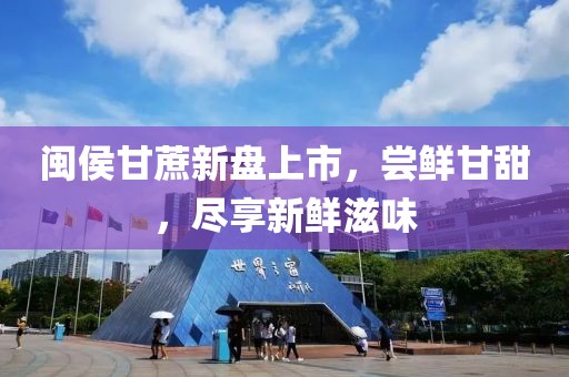 闽侯甘蔗新盘上市，尝鲜甘甜，尽享新鲜滋味