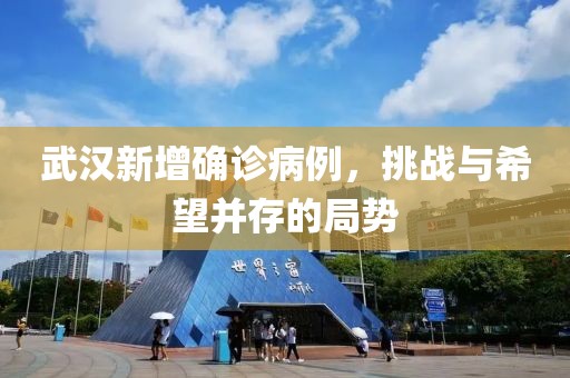 武汉新增确诊病例，挑战与希望并存的局势