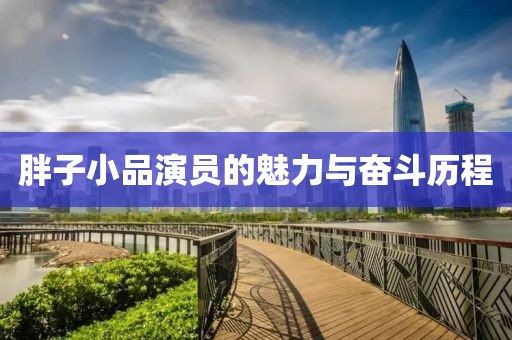 胖子小品演员的魅力与奋斗历程