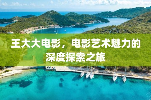 王大大电影，电影艺术魅力的深度探索之旅