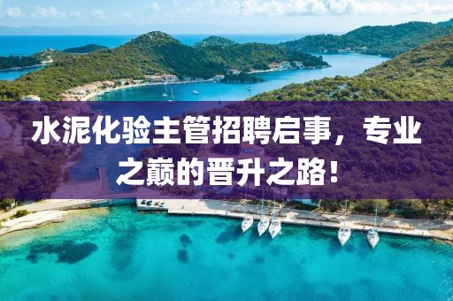 水泥化验主管招聘启事，专业之巅的晋升之路！