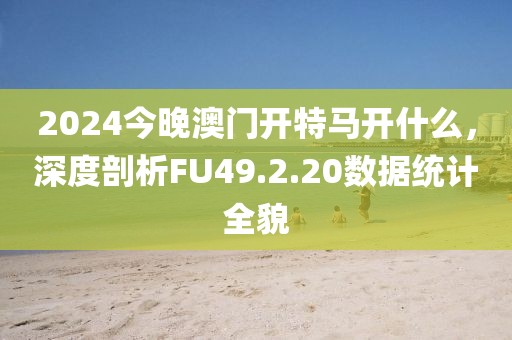 2024今晚澳门开特马开什么，深度剖析FU49.2.20数据统计全貌