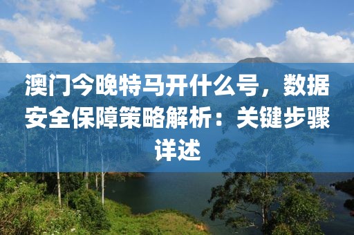 澳门今晚特马开什么号，数据安全保障策略解析：关键步骤详述