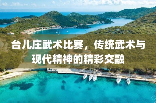 台儿庄武术比赛，传统武术与现代精神的精彩交融