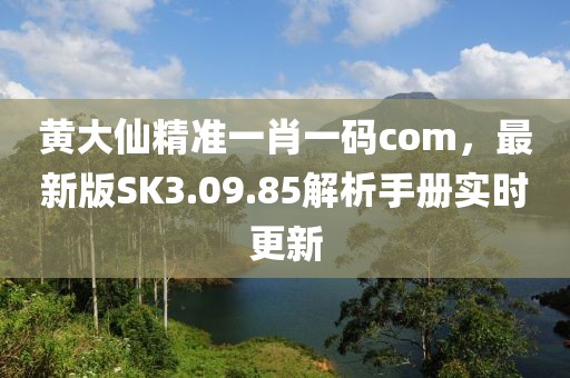 黄大仙精准一肖一码com，最新版SK3.09.85解析手册实时更新