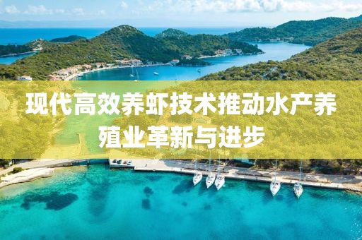 现代高效养虾技术推动水产养殖业革新与进步