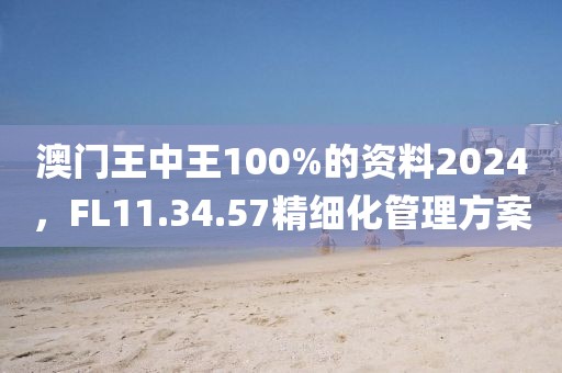 澳门王中王100%的资料2024，FL11.34.57精细化管理方案