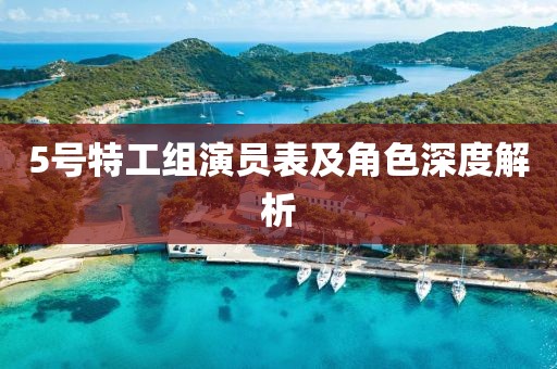 5号特工组演员表及角色深度解析