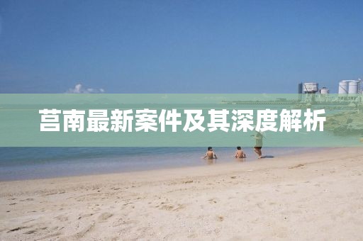 莒南最新案件及其深度解析