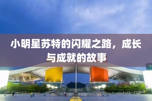 小明星苏特的闪耀之路，成长与成就的故事