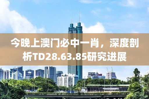 今晚上澳门必中一肖，深度剖析TD28.63.85研究进展
