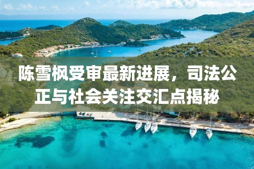 陈雪枫受审最新进展，司法公正与社会关注交汇点揭秘