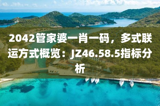 2042管家婆一肖一码，多式联运方式概览：JZ46.58.5指标分析