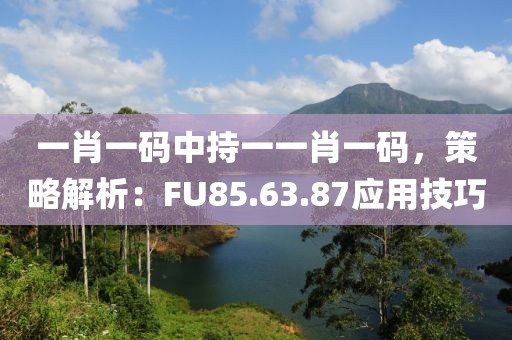 一肖一码中持一一肖一码，策略解析：FU85.63.87应用技巧