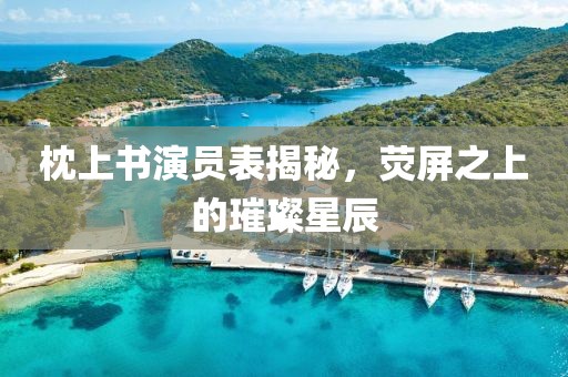 枕上书演员表揭秘，荧屏之上的璀璨星辰
