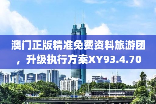 澳门正版精准免费资料旅游团，升级执行方案XY93.4.70