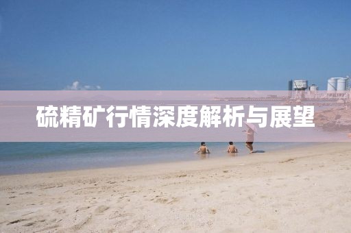 硫精矿行情深度解析与展望